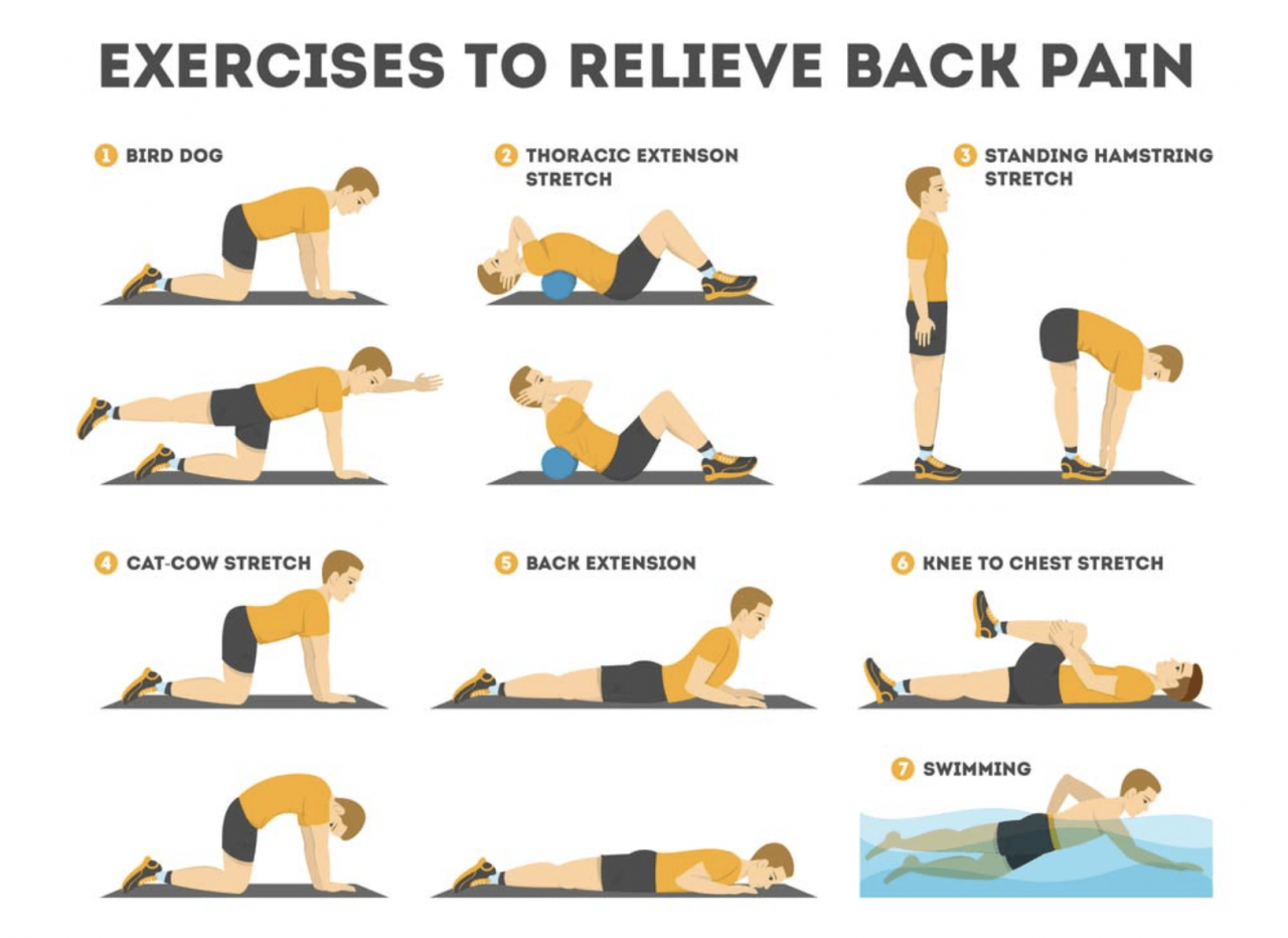 Exercises for lower back fat